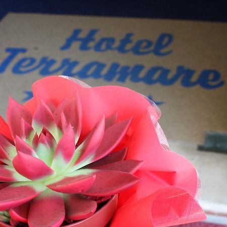 Hotel Terramare Lido di Jesolo Zewnętrze zdjęcie