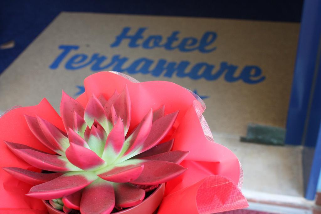 Hotel Terramare Lido di Jesolo Zewnętrze zdjęcie